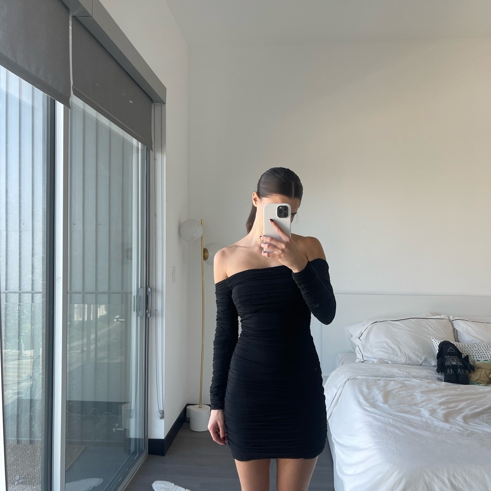 ARITZIA BABTON MESH DRESS